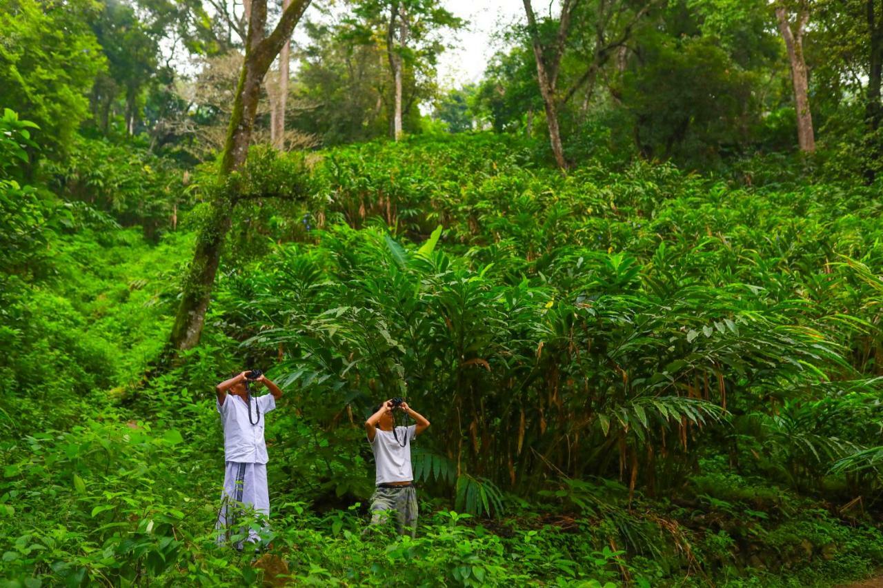 Sitaram Mountain Retreat Hotel Munnar Bagian luar foto